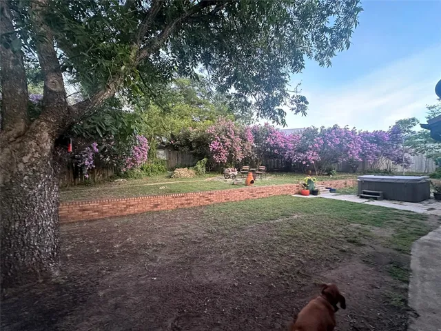 a view of backyard with green space
