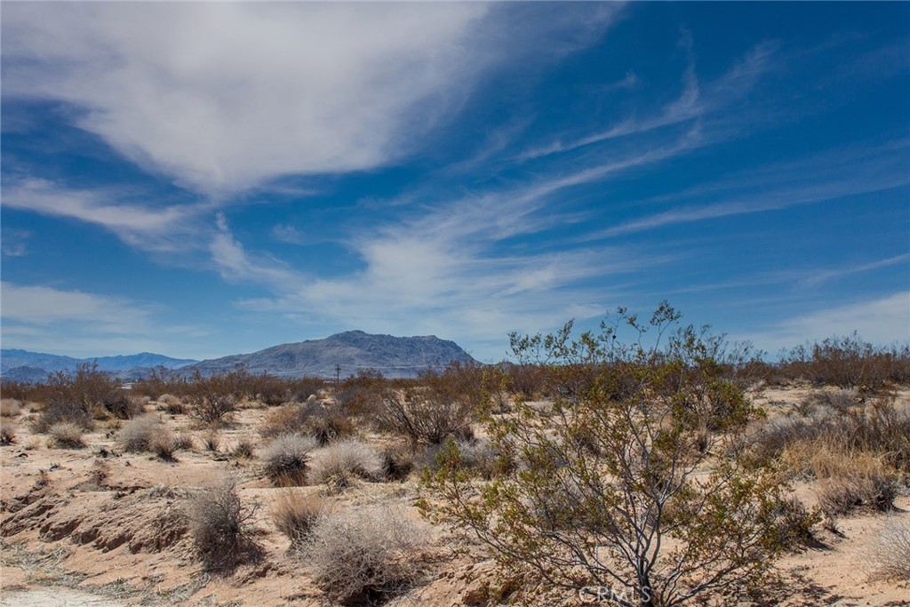 3374 Sunny Hill Road Joshua Tree, CA 92252 - Photo 1 of 7