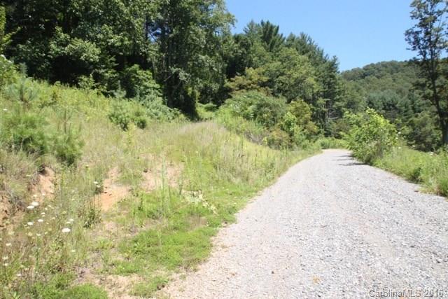 7-9 Gambrell Hill Road, Unit 79 Clyde, NC 28721 - Photo 15 of 24 a view of a pathway both side of yard