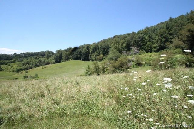 7-9 Gambrell Hill Road, Unit 79 Clyde, NC 28721 - Photo 19 of 24 a view of a field with a tree in the background