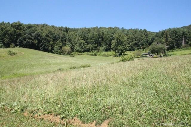 7-9 Gambrell Hill Road, Unit 79 Clyde, NC 28721 - Photo 22 of 24 a view of a big yard with green space
