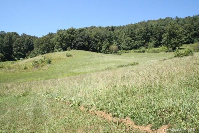 7-9 Gambrell Hill Road, Unit 79 Clyde, NC 28721 - Photo 23 of 24 a view of a field of grass and trees