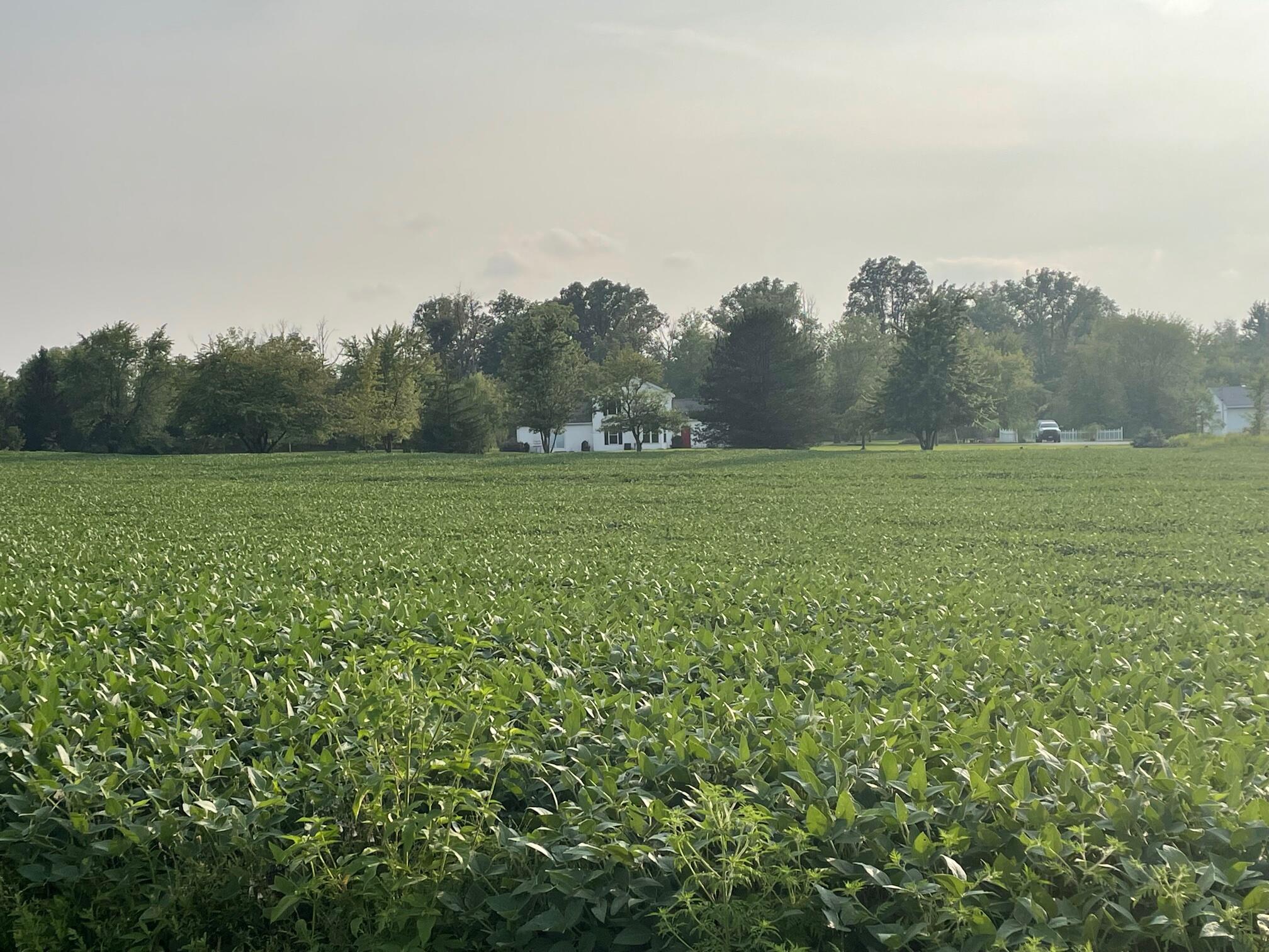 0 Greely Chapel Road Lima, OH 45806 - Photo 5 of 6