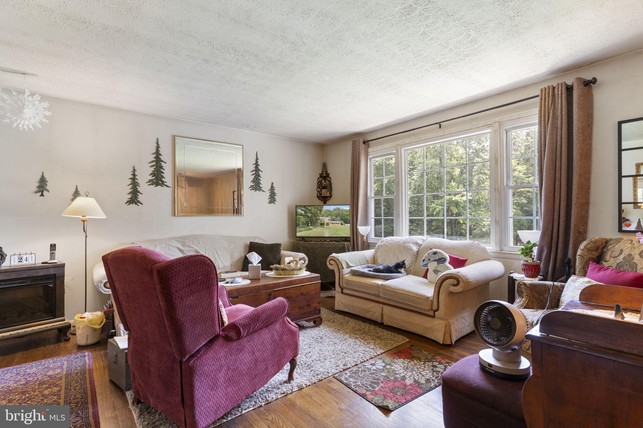 37580 Asher Road Mechanicsville, MD 20659 - Photo 5 of 31 Living room