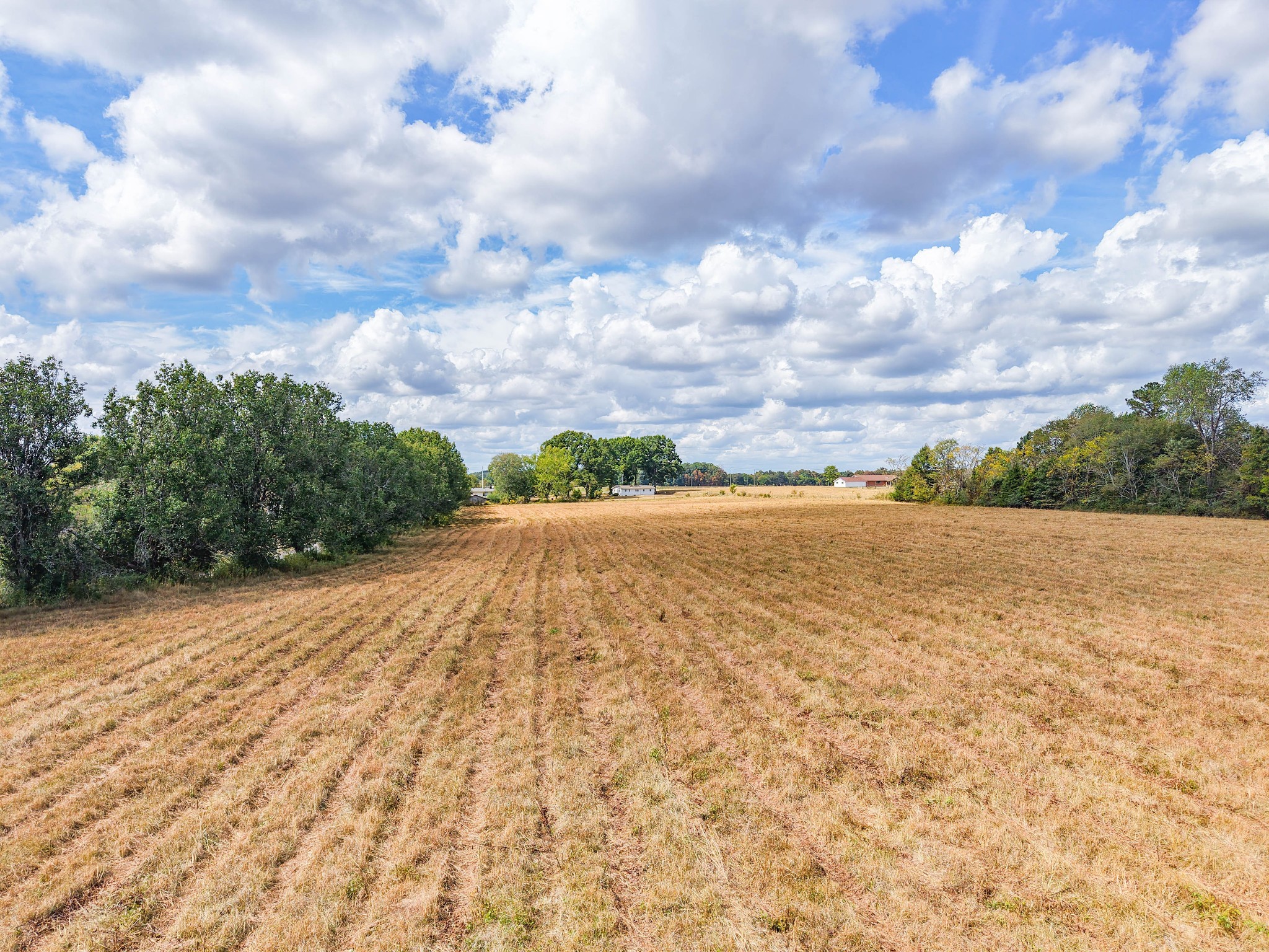 0 Shannon Road Leoma, TN 38468 - Photo 8 of 10 Gallery Image 8