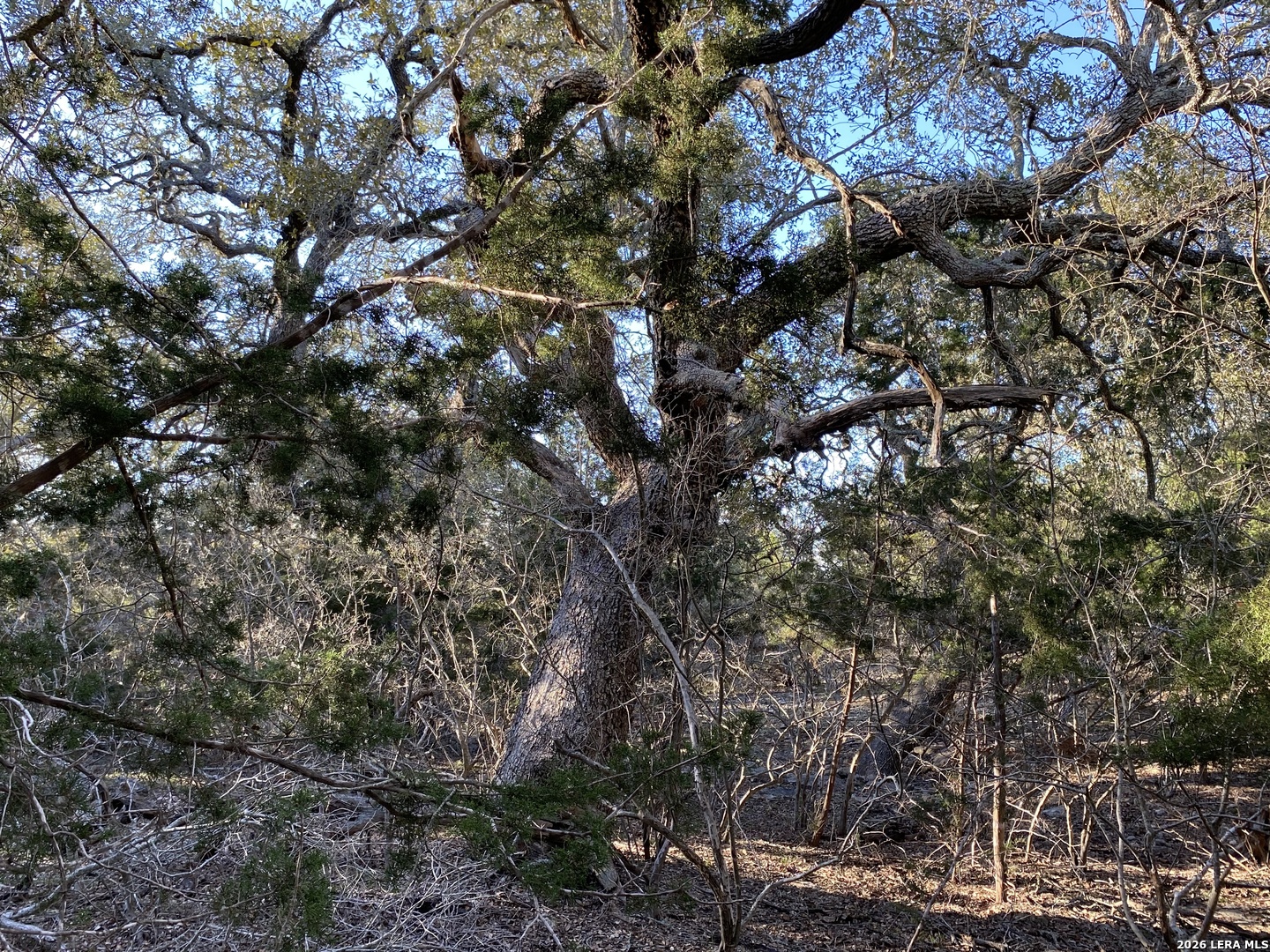14 Rust Lane Boerne, TX 78006 - Photo 20 of 39 Gallery Image 20