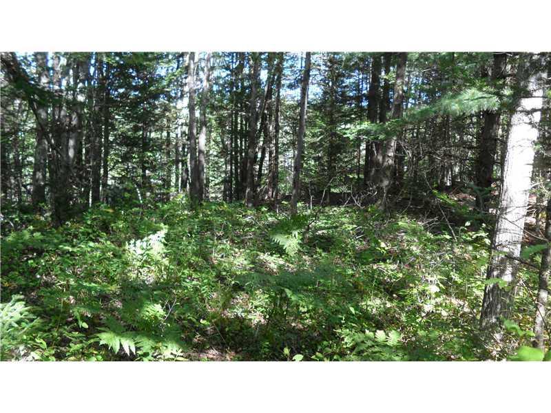 0 Colonel Stairs Road Cushing, ME 04563 - Photo 2 of 7 Land.