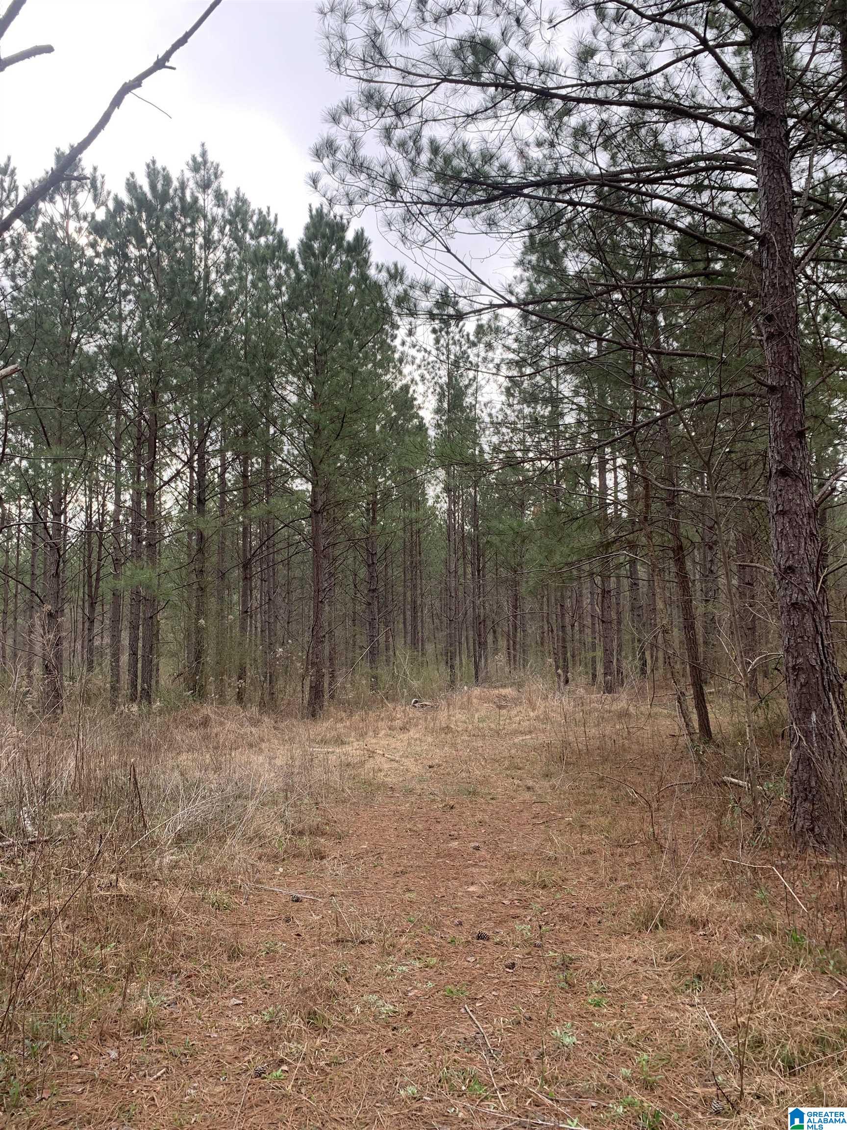 Shady Glen Road, Unit 50 91 Anniston, AL 36201 - Photo 10 of 15