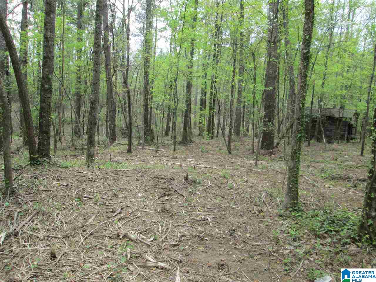 2460 Corner Road Warrior, AL 35180 - Photo 8 of 13