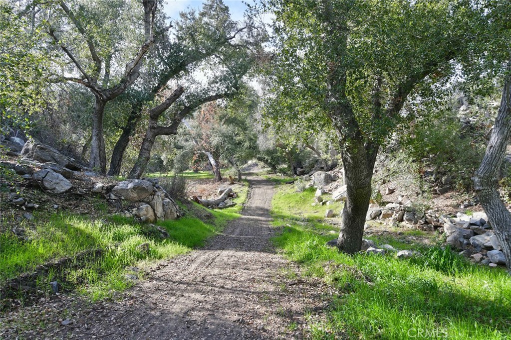 38575 Vía Vista Grande Murrieta, CA 92562 - Photo 11 of 73