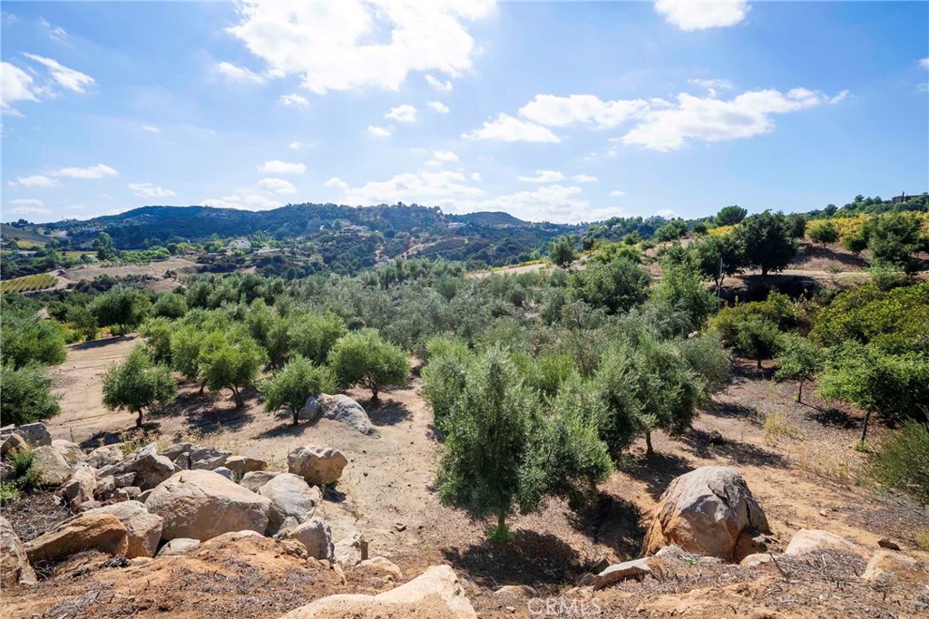 38575 Vía Vista Grande Murrieta, CA 92562 - Photo 15 of 73