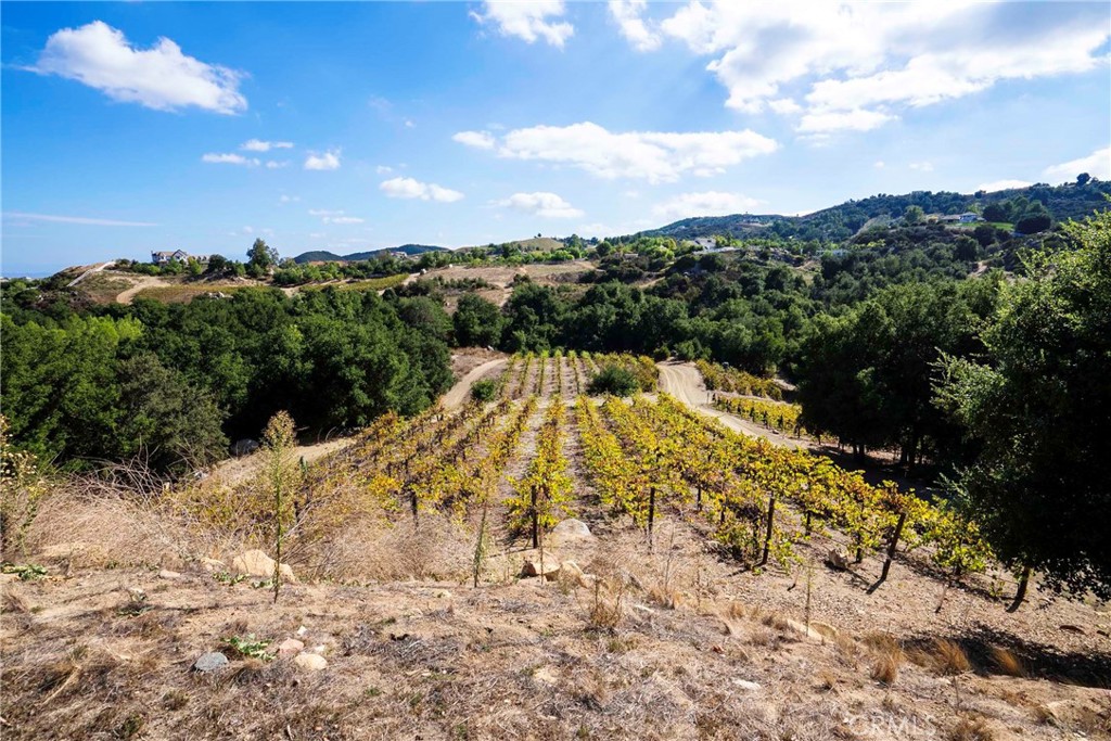 38575 Vía Vista Grande Murrieta, CA 92562 - Photo 21 of 73