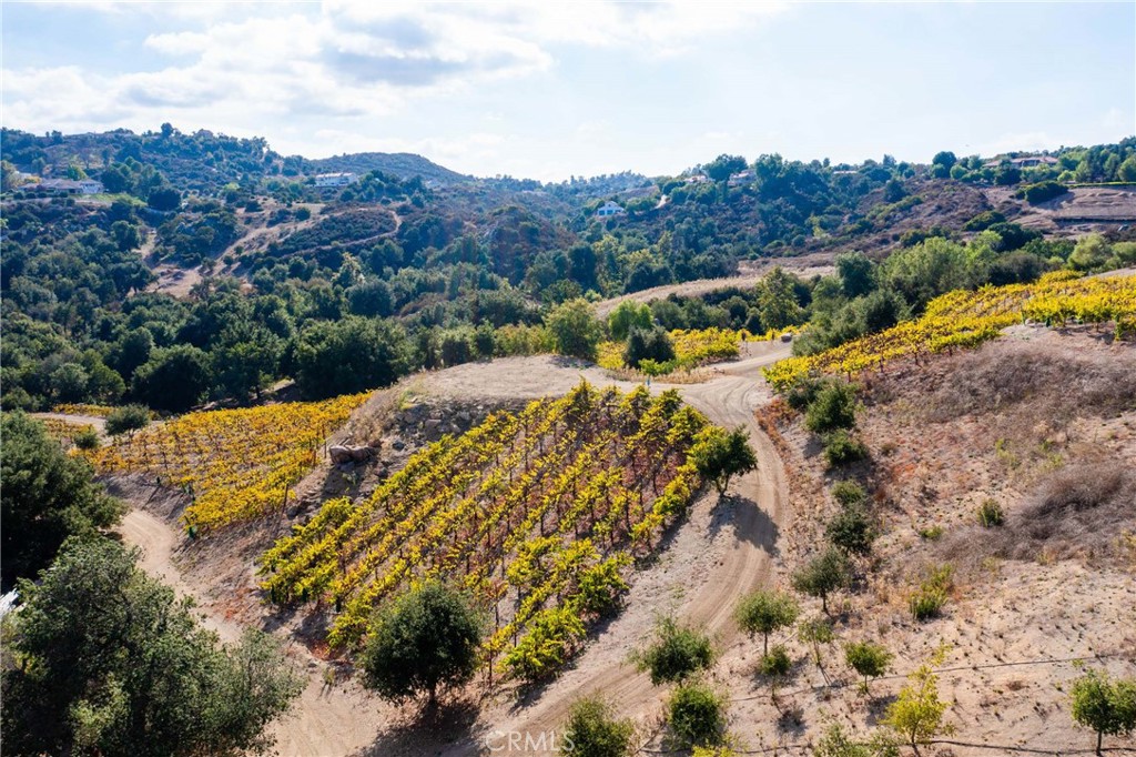 38575 Vía Vista Grande Murrieta, CA 92562 - Photo 22 of 73
