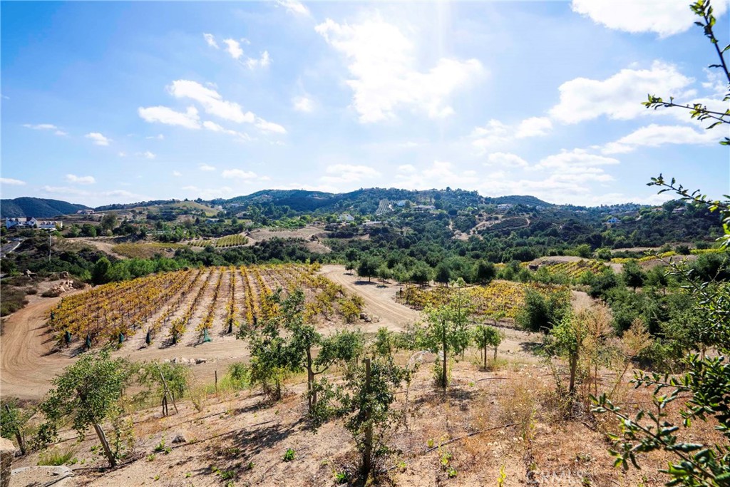 38575 Vía Vista Grande Murrieta, CA 92562 - Photo 23 of 73