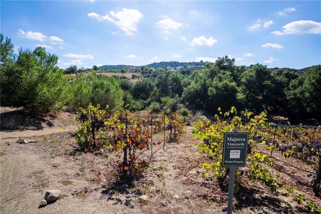 38575 Vía Vista Grande Murrieta, CA 92562 - Photo 24 of 73