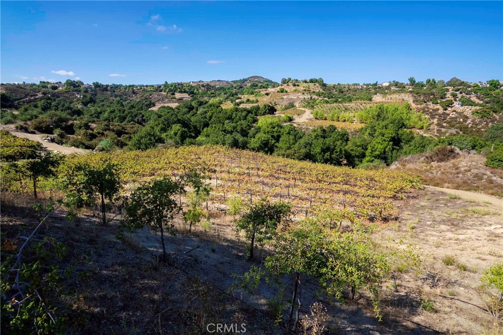 38575 Vía Vista Grande Murrieta, CA 92562 - Photo 25 of 73