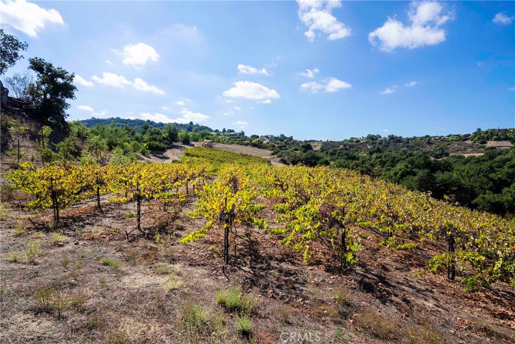 38575 Vía Vista Grande Murrieta, CA 92562 - Photo 26 of 73