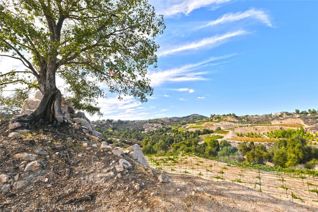 38575 Vía Vista Grande Murrieta, CA 92562 - Photo 27 of 73