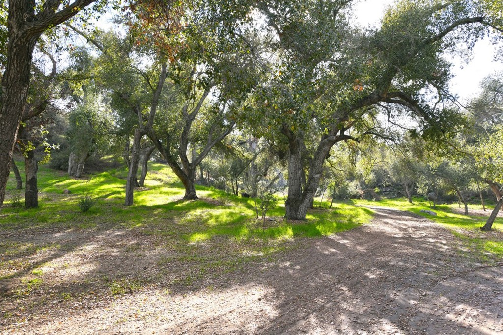 38575 Vía Vista Grande Murrieta, CA 92562 - Photo 35 of 73