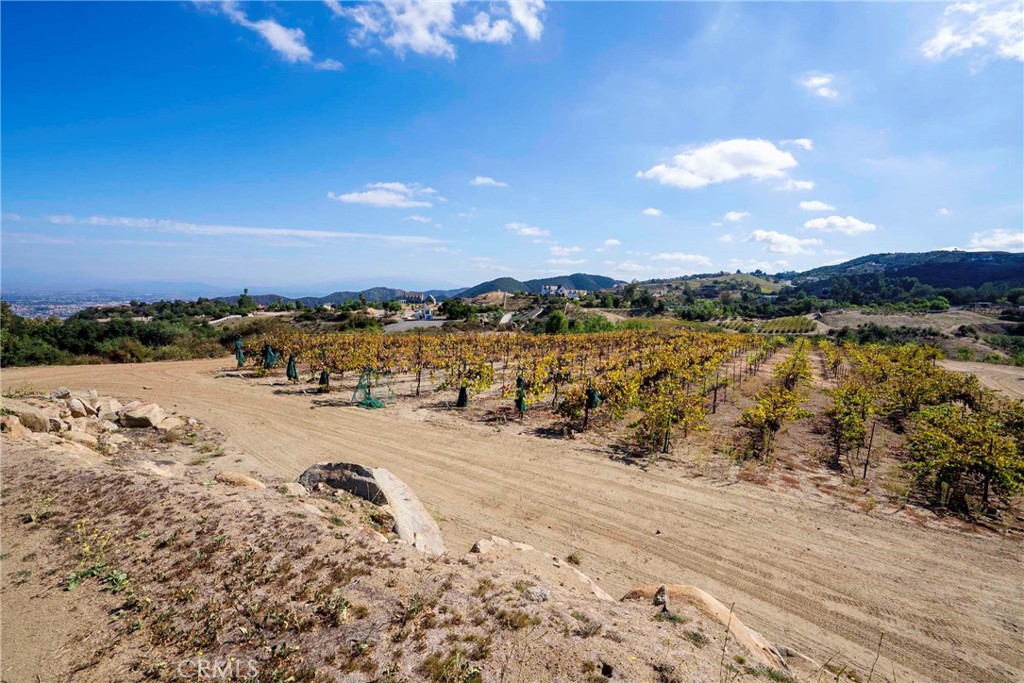 38575 Vía Vista Grande Murrieta, CA 92562 - Photo 40 of 73