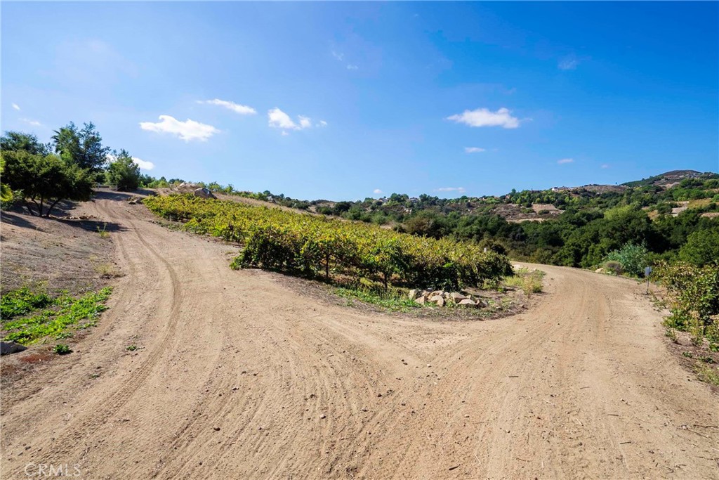 38575 Vía Vista Grande Murrieta, CA 92562 - Photo 54 of 73