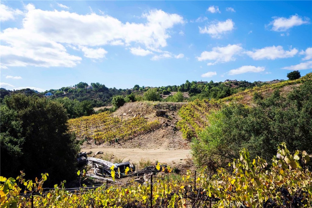 38575 Vía Vista Grande Murrieta, CA 92562 - Photo 58 of 73