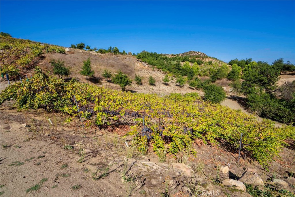 38575 Vía Vista Grande Murrieta, CA 92562 - Photo 60 of 73