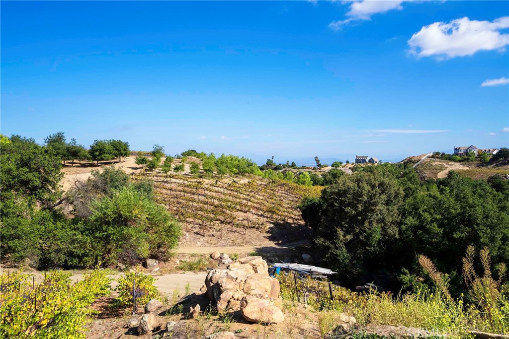 38575 Vía Vista Grande Murrieta, CA 92562 - Photo 61 of 73