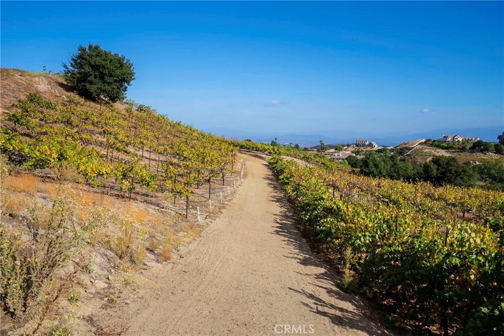 38575 Vía Vista Grande Murrieta, CA 92562 - Photo 64 of 73