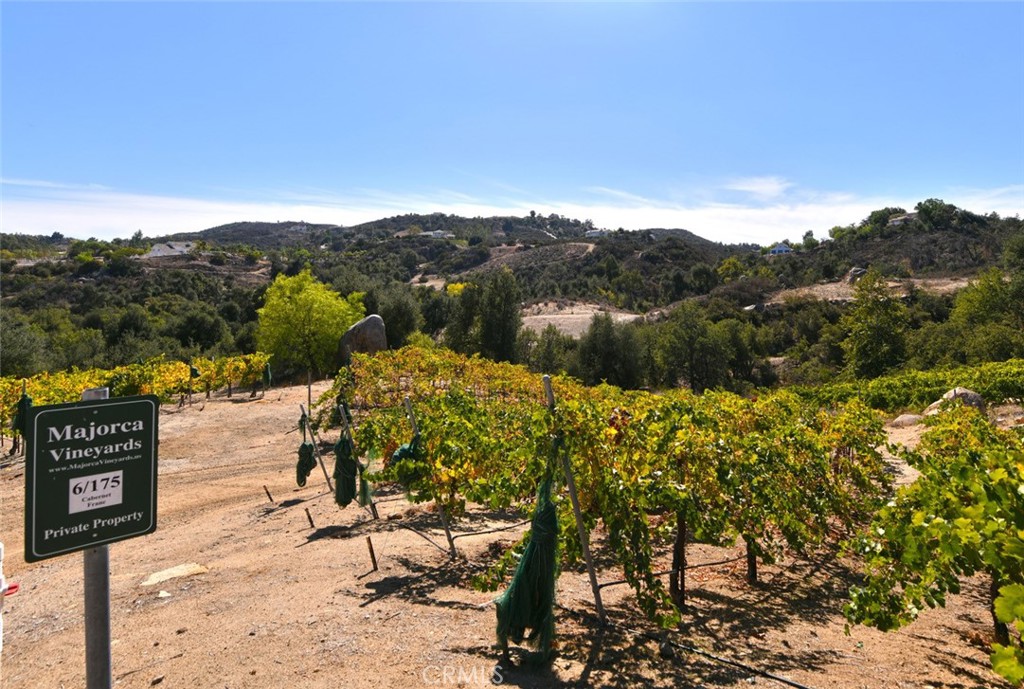 38575 Vía Vista Grande Murrieta, CA 92562 - Photo 65 of 73