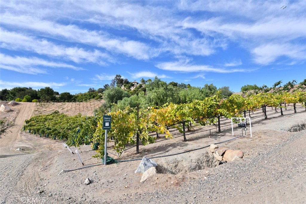 38575 Vía Vista Grande Murrieta, CA 92562 - Photo 66 of 73