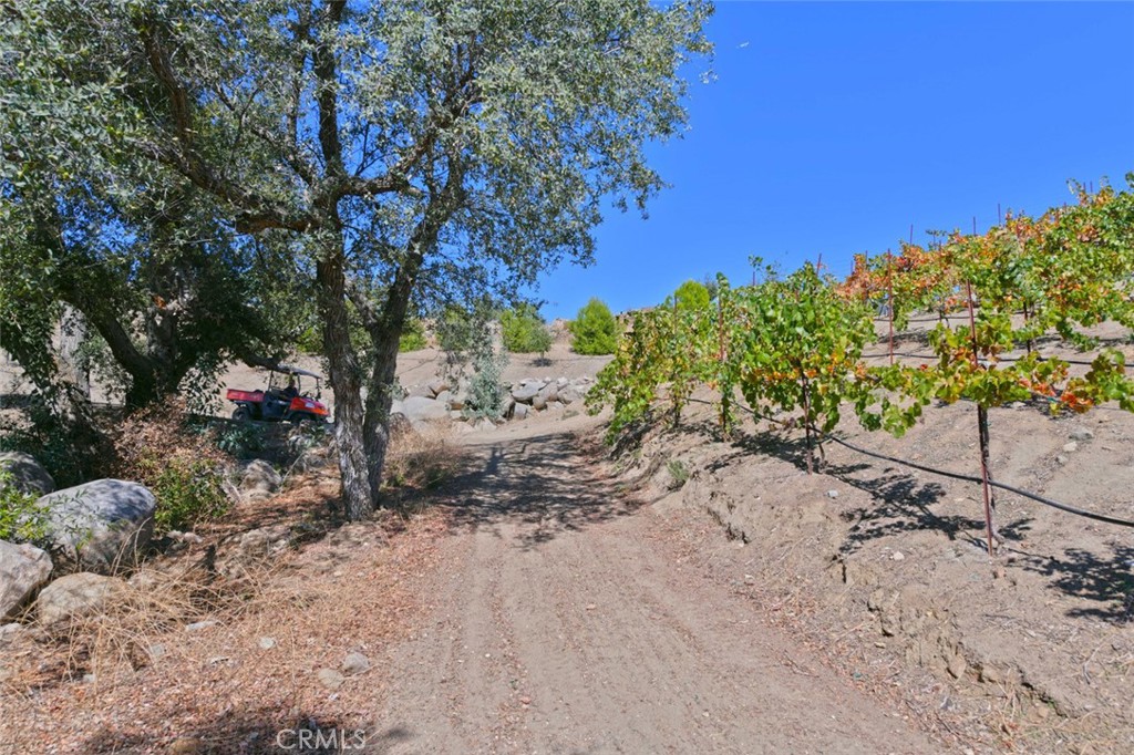 38575 Vía Vista Grande Murrieta, CA 92562 - Photo 67 of 73