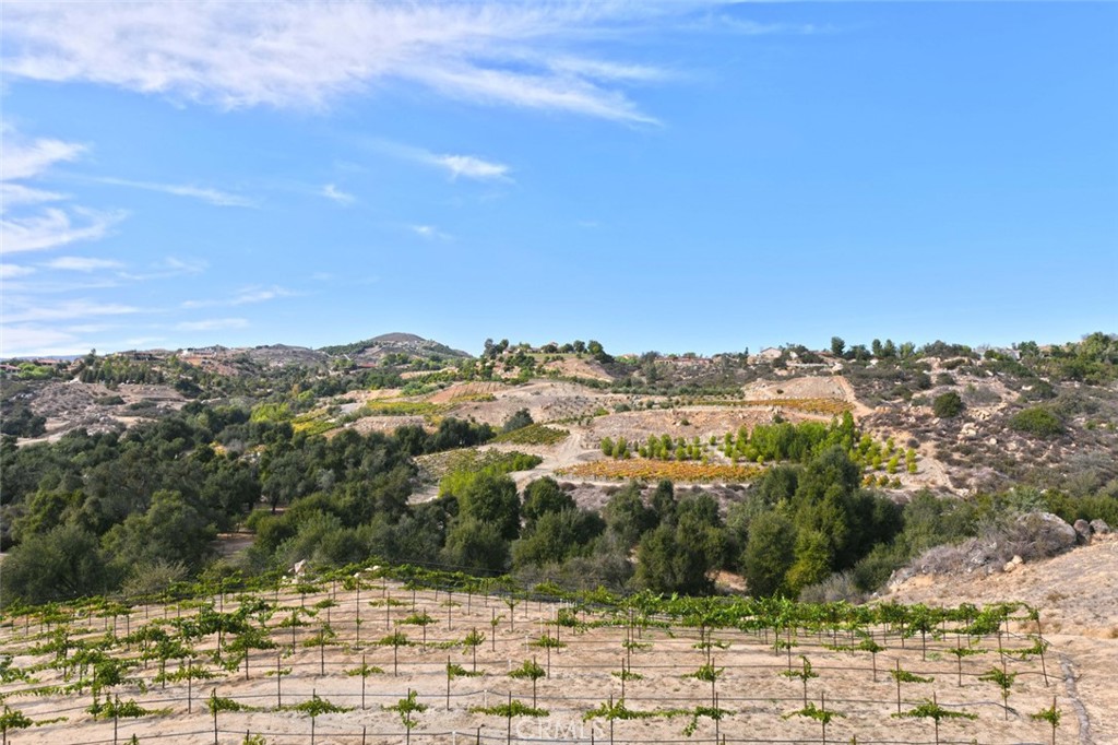 38575 Vía Vista Grande Murrieta, CA 92562 - Photo 68 of 73