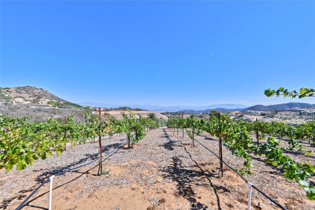 38575 Vía Vista Grande Murrieta, CA 92562 - Photo 69 of 73