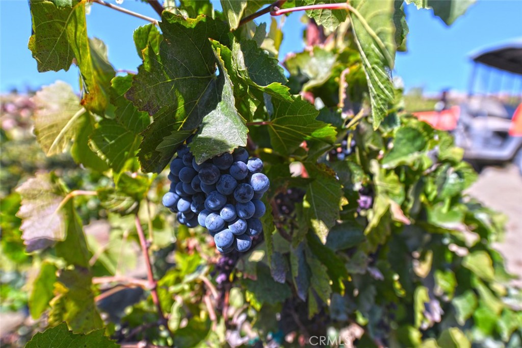 38575 Vía Vista Grande Murrieta, CA 92562 - Photo 9 of 73