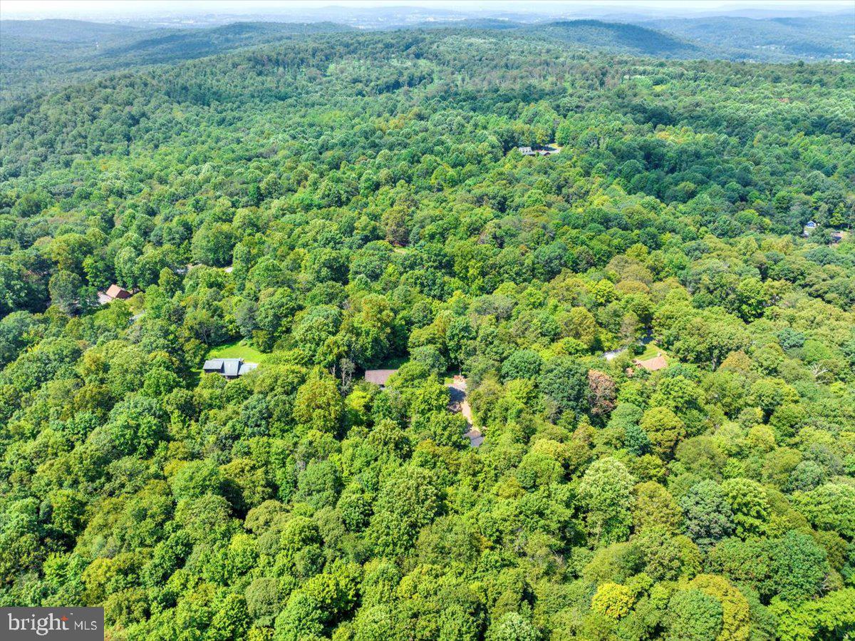 80 Trappers Run Morgantown, PA 19543 - Photo 55 of 64