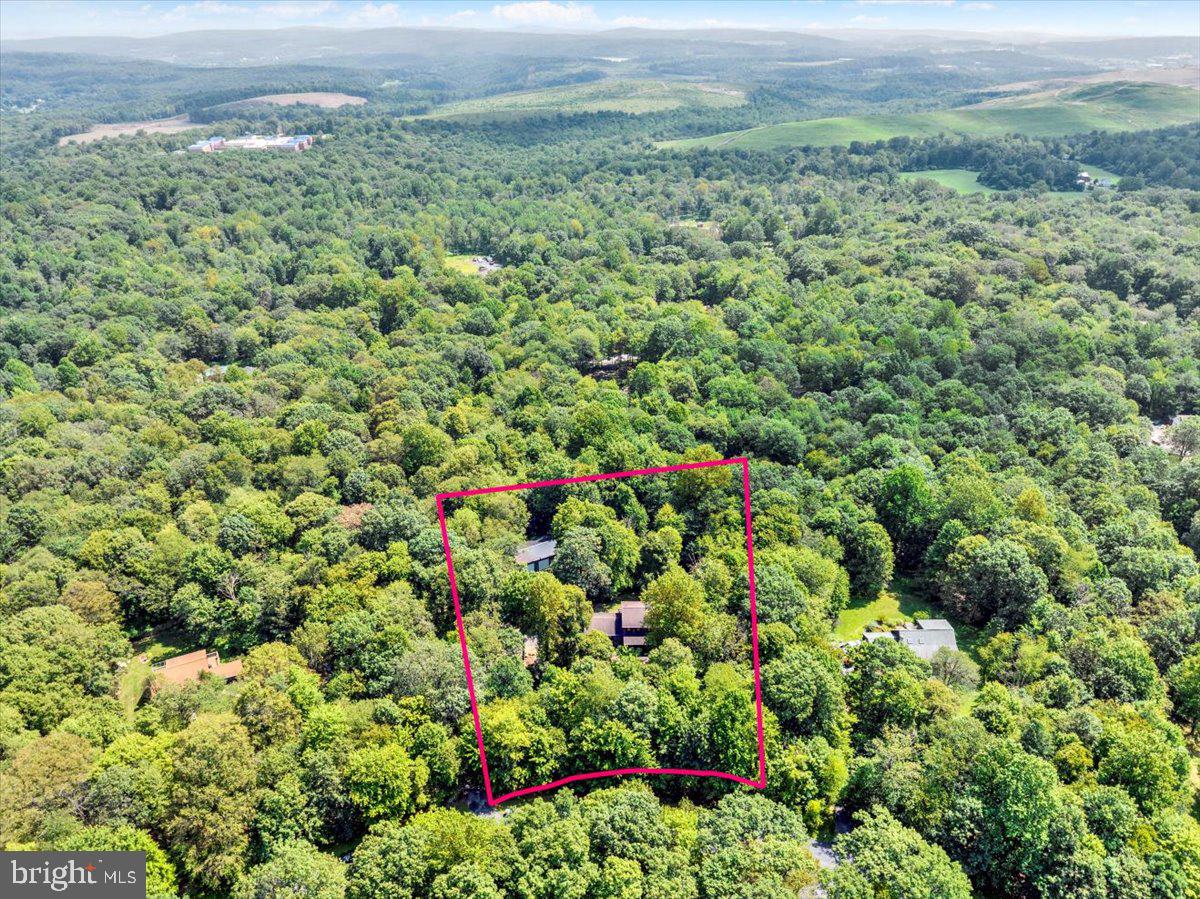 80 Trappers Run Morgantown, PA 19543 - Photo 58 of 64