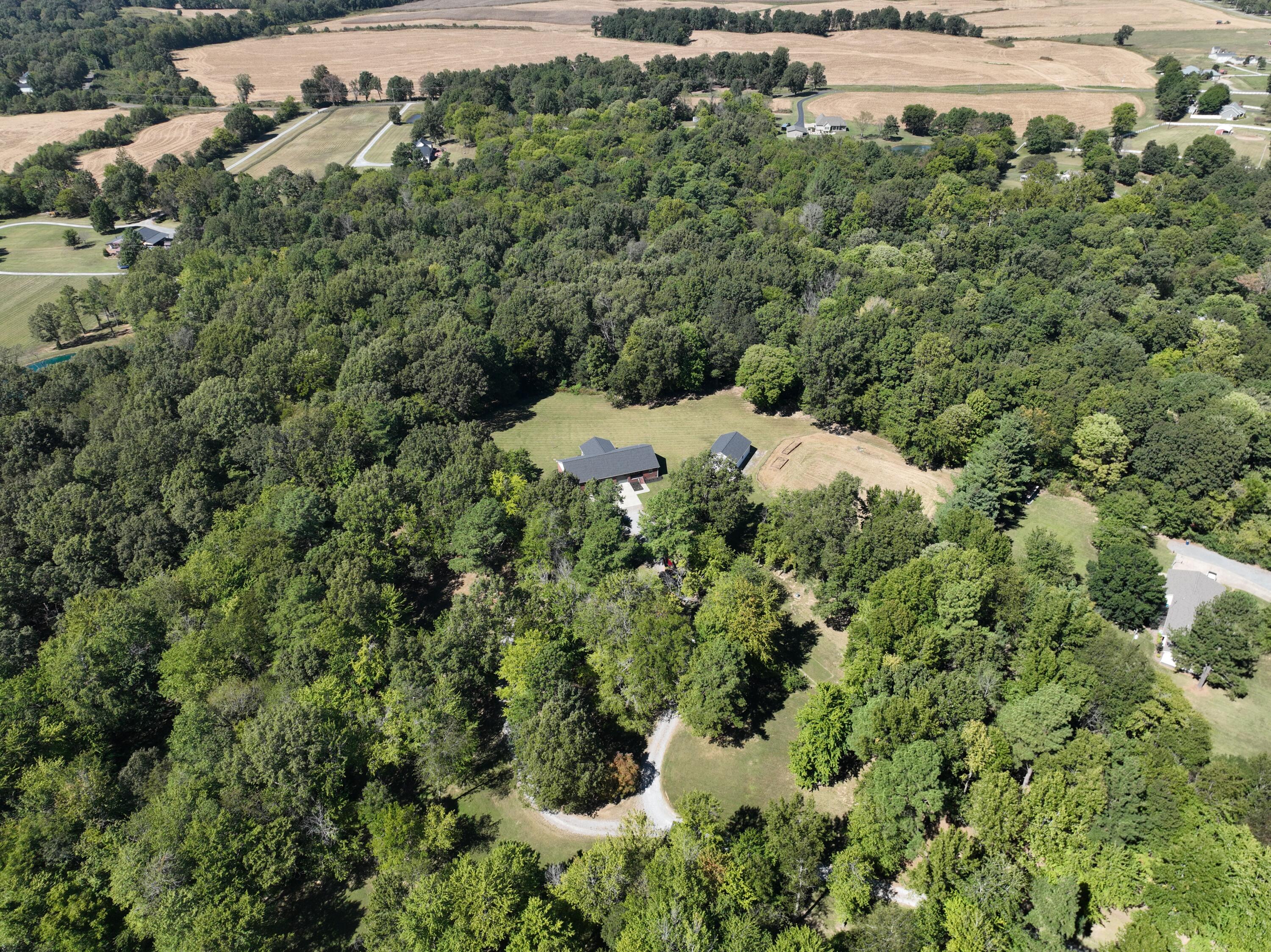 Aerial