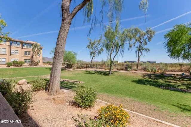 a view of a backyard