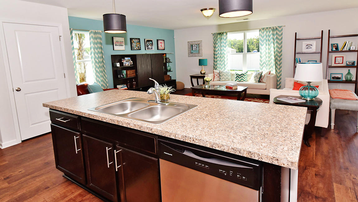 255 Cypress Marsh Road Moncks Corner, SC 29461 - Photo 10 of 24 Kitchen
