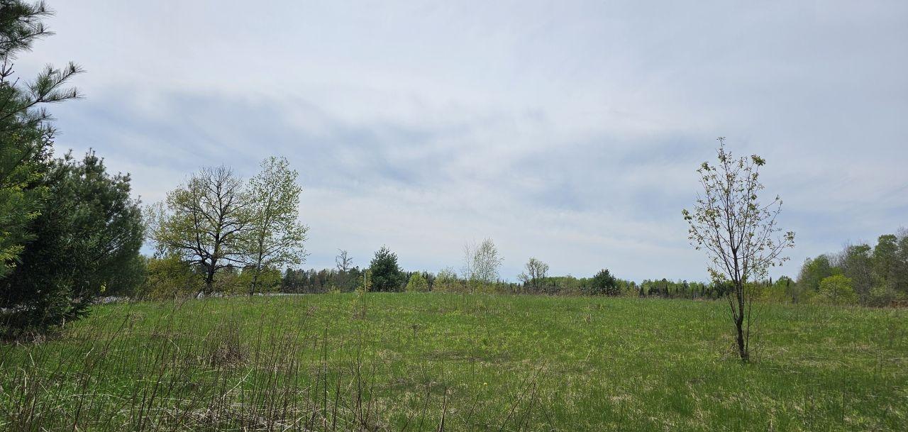 4103 Weber Road Mercer, WI 54547 - Photo 16 of 29 Gallery Image 16