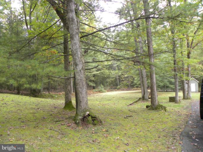 10246 Golf Course Road Fayetteville, PA 17222 - Photo 7 of 11 a view of a yard with a tree