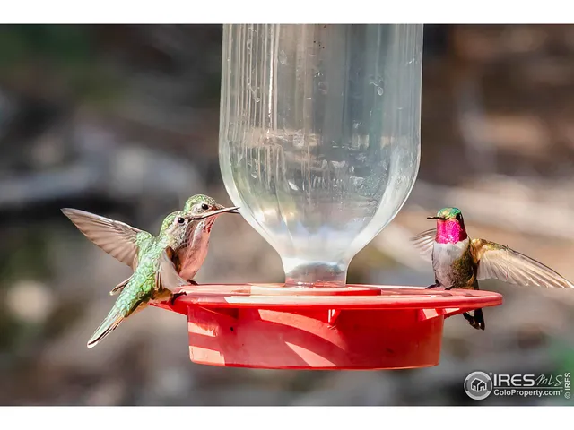 $740,000 | 700 Hill Street, Boulder, CO 80302