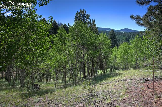 412 Princess Road Cripple Creek, CO 80813 - Photo 1 of 45 Gallery Image 1