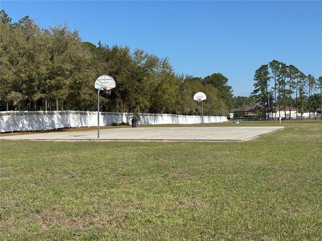 5128 Hartwell Loop Land O' Lakes, FL 34638 - Photo 40 of 43