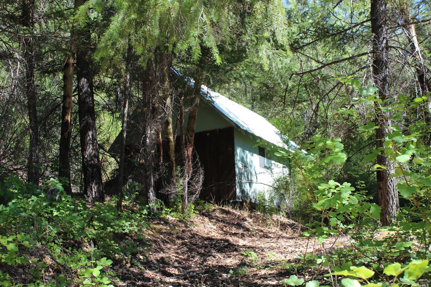 29341 Eel River Ranch Road Covelo, CA 95428 - Photo 1 of 1 a backyard of a house with lots of green space