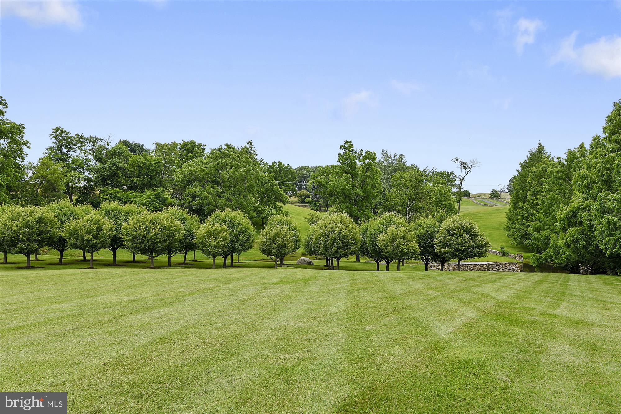 2547 Halfway Road The Plains, VA 20198 - Photo 83 of 90 a backyard of a house with lots of green space and fog