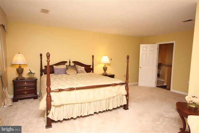 16459 Frederick Road Woodbine, MD 21797 - Photo 10 of 30 Bedroom (Master)