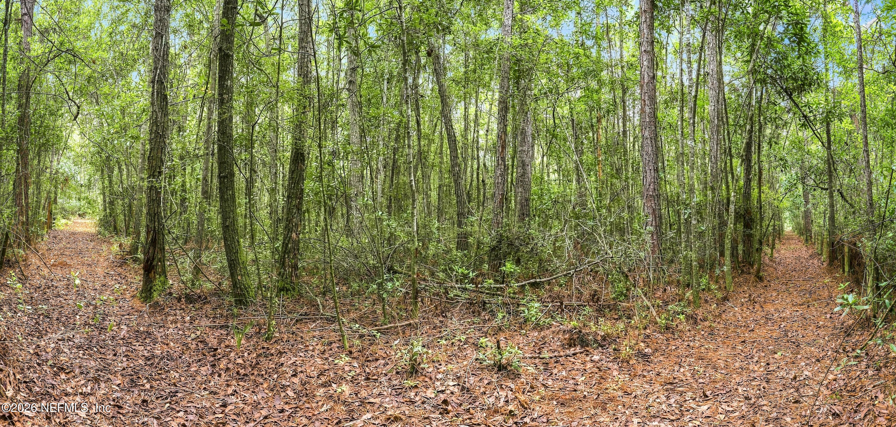 9500 Taylor Field Road Jacksonville, FL 32222 - Photo 10 of 11 Taylor Field_014