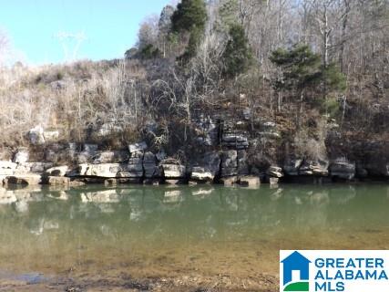 0 Pea Ridge Circle, Unit 424 Union Grove, AL 35175 - Photo 39 of 49